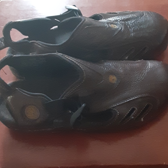 Scandals - Picture 2 of 16